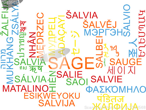 Image of Sage multilanguage wordcloud background concept