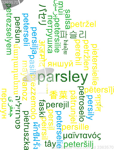 Image of Parsley multilanguage wordcloud background concept