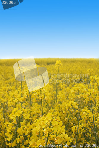 Image of czech country