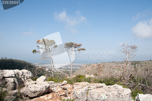 Image of Spring season landscape