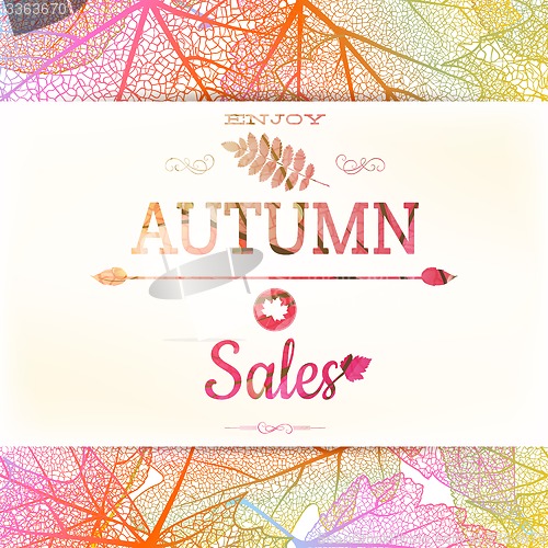 Image of Autumn sale background. EPS 10