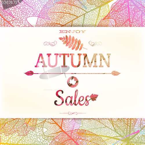 Image of Autumn sale - fall leaves. EPS 10