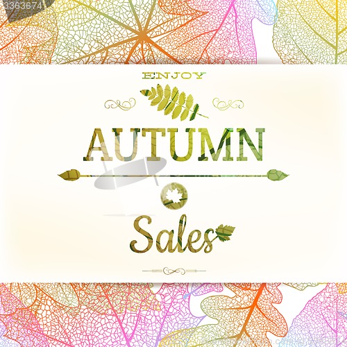 Image of Autumn sale background. EPS 10