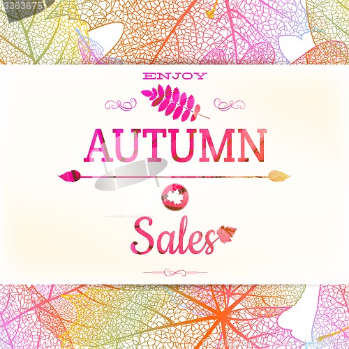 Image of Big autumn sale. EPS 10