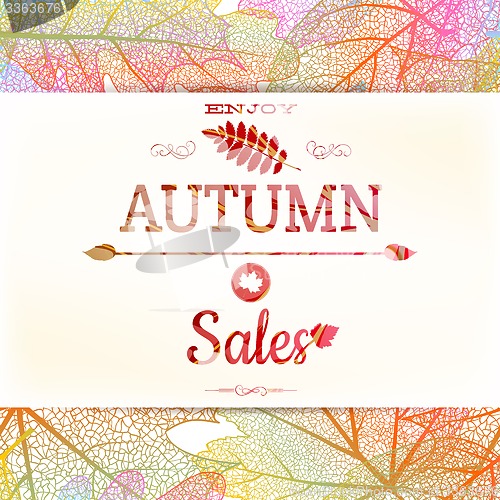 Image of Big autumn sale. EPS 10