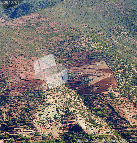 Image of the dades valley in atlas moroco africa ground tree  and nobody