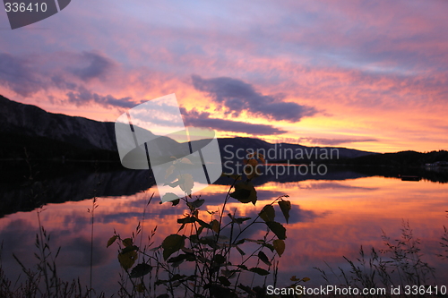 Image of Sunset Lake nisser