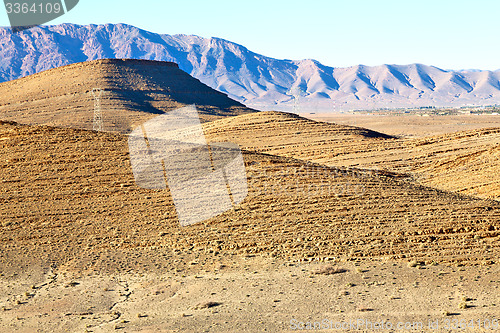 Image of bush  in    valley  morocco      dry mountain  