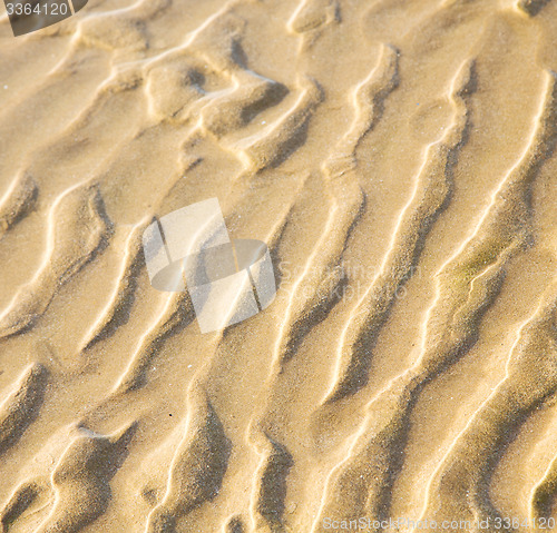 Image of dune morocco in africa brown coastline wet sand beach near atlan