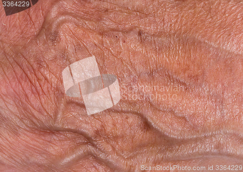Image of Hand of an old woman