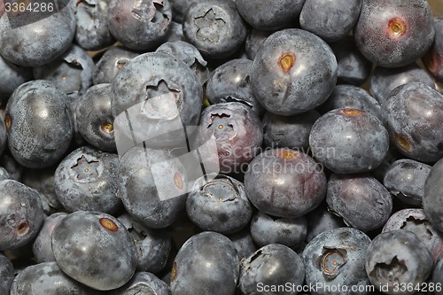 Image of Blueberries