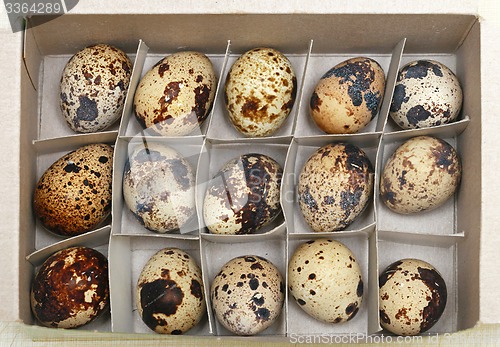 Image of Quail egg box