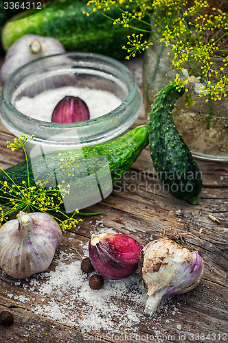 Image of salted cucumber