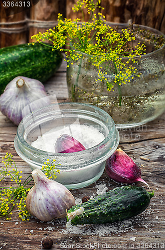 Image of salted cucumber