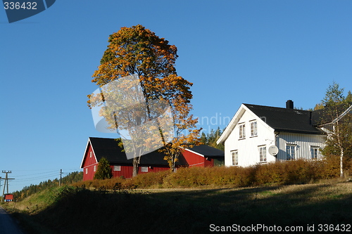 Image of Farmhouse, tree with autumn leaves