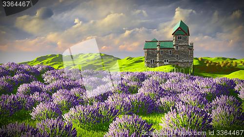 Image of Lavender fields 