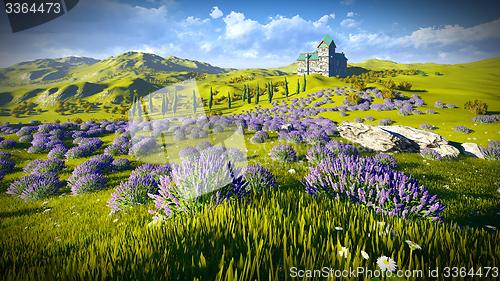 Image of Lavender fields 