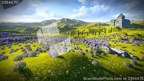 Image of Lavender fields 