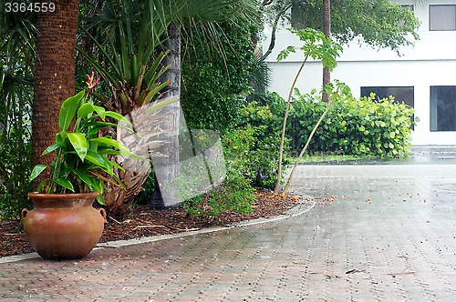 Image of heavy rain in florida