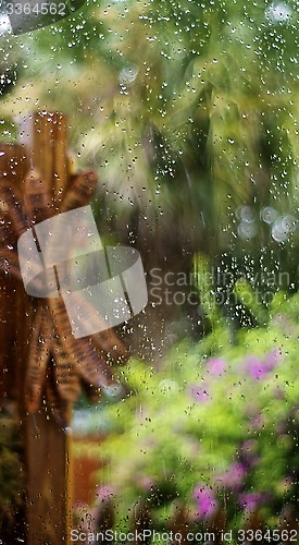 Image of water on window colorful  florida garden