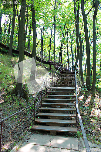 Image of stairs in the park with big trees