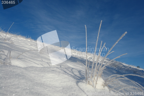 Image of Straws with ice crystals