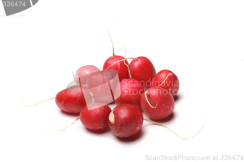 Image of radish