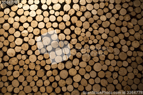 Image of Closeup of stacked firewood