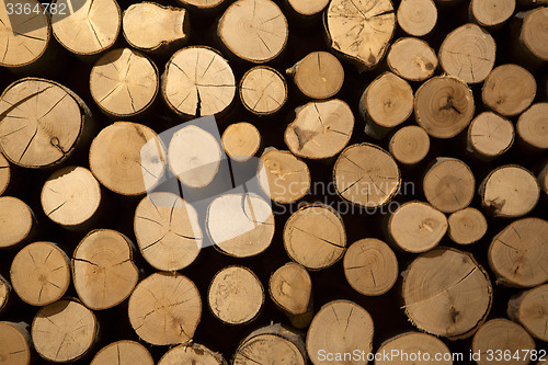 Image of Closeup of stacked firewood