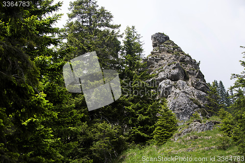 Image of View to mountain top in the Bavarian Alps