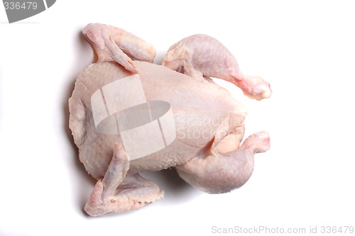Image of raw chicken
