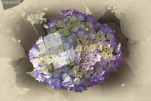 Image of noFloral background suitable for a greeting cardcaption