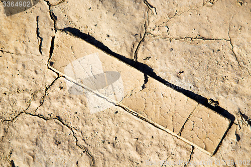 Image of brown dry sand in wood and abstract
