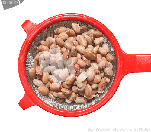 Image of Borlotti beans vegetables isolated