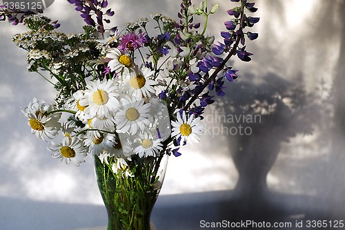 Image of pleven flowers, lupines and daisies in a vase