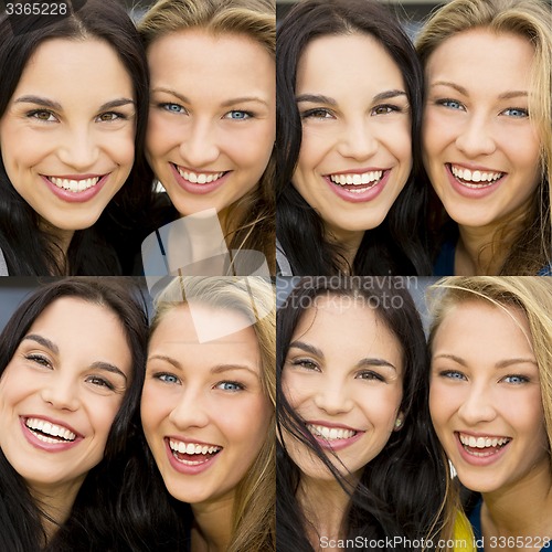 Image of Friends 
