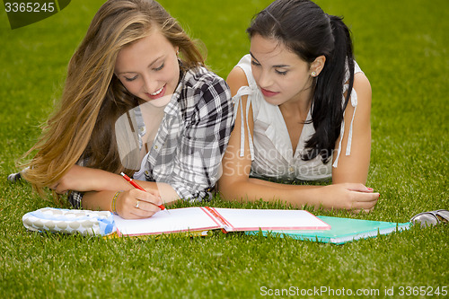 Image of Outdoor study