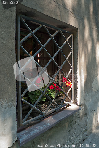 Image of Window