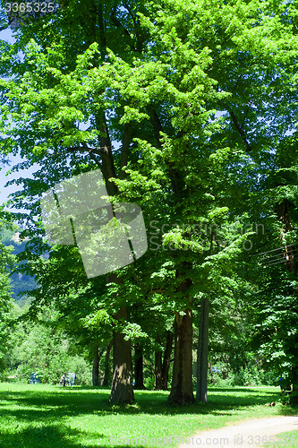 Image of Park