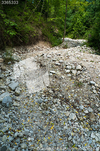 Image of Dry River Bed