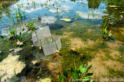 Image of Pond