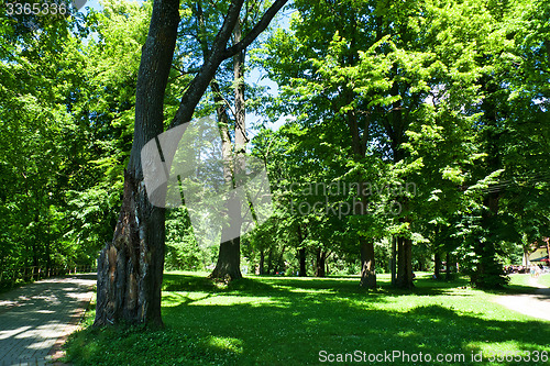 Image of Park