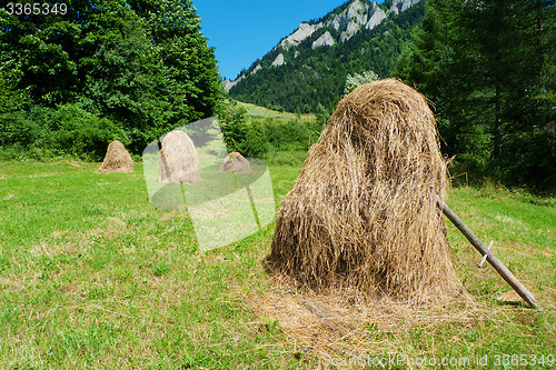 Image of Hay stacks