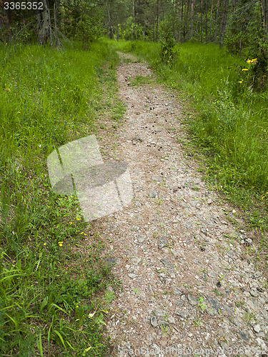 Image of Path