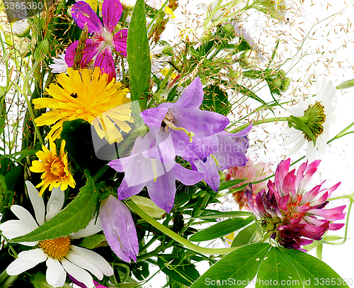 Image of Wildflower Bouquet