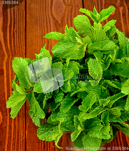 Image of Mint Leafs