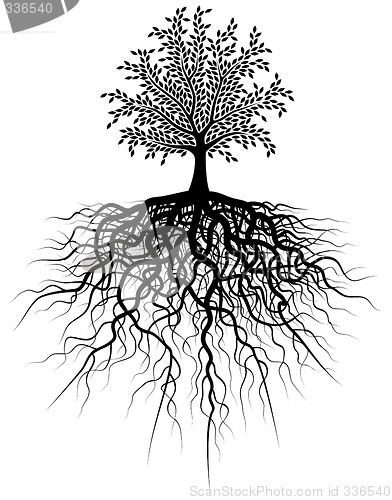 Image of Root tree