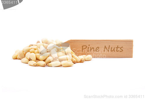 Image of Pine nuts on white