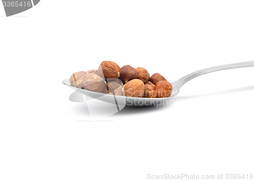 Image of Hazelnuts  on spoon