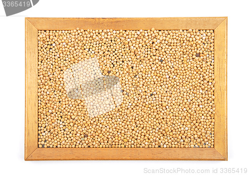 Image of Mustard seeds in frame